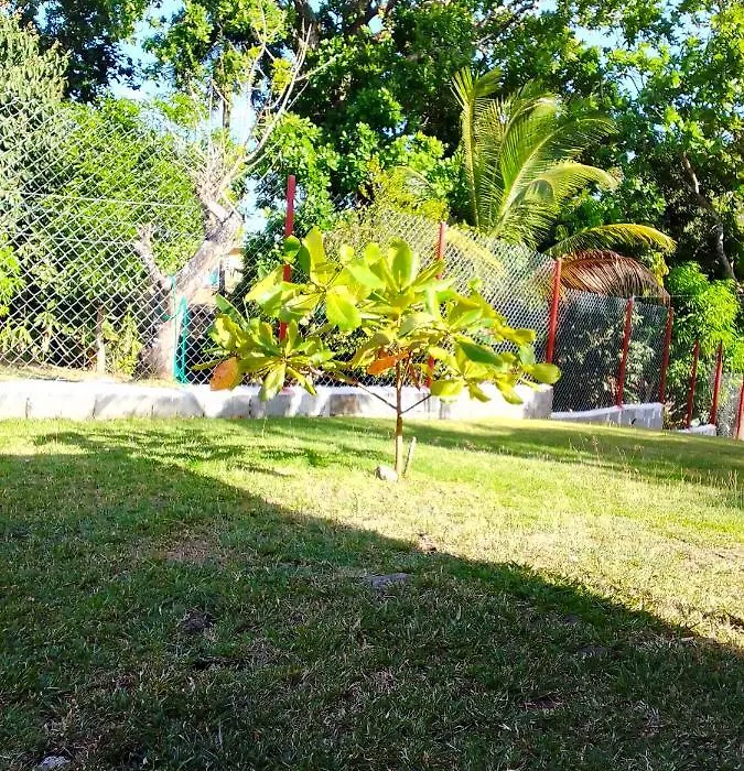 La Bendicion-1