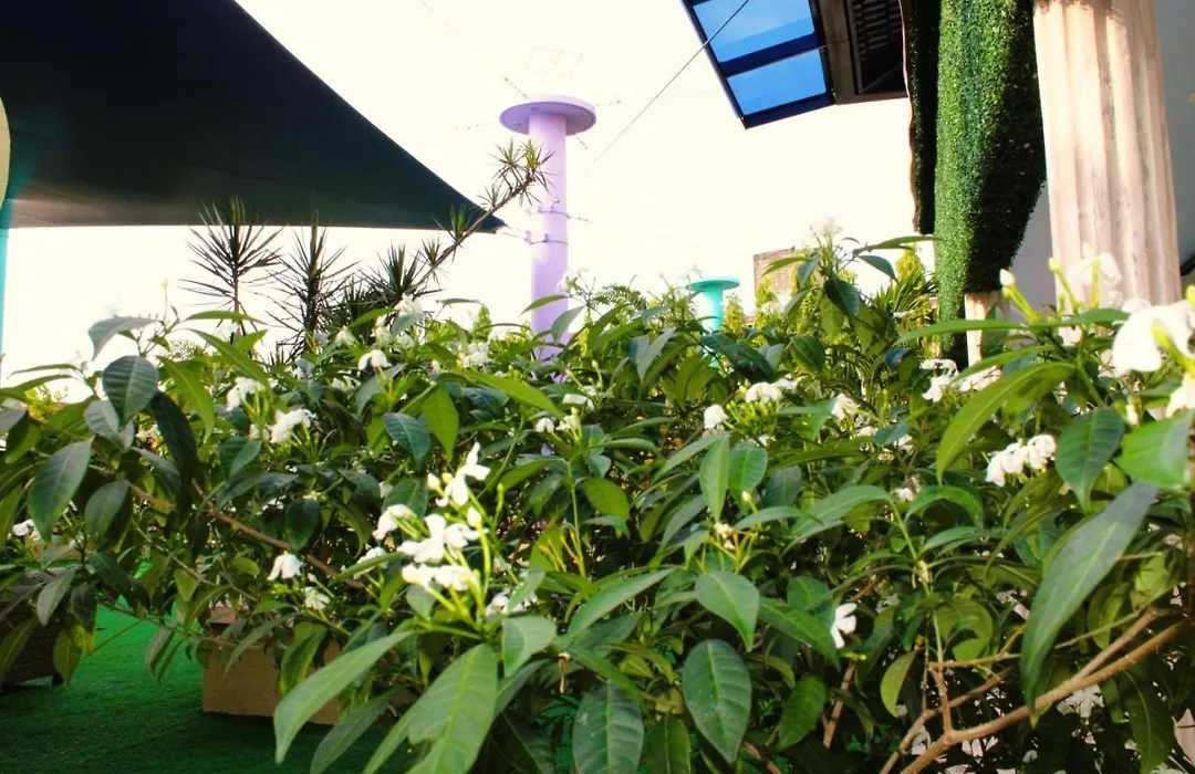 Hotel Casa Miller-1