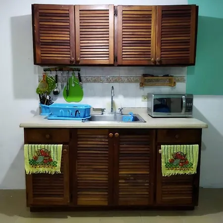 Alojamiento Entero De 1 Recamara, Comodo Y Centrico, Sala Comedor, Cocina Y Bano-2