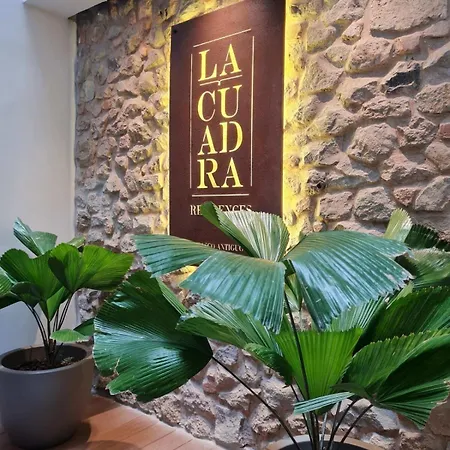 Cozy 1Br In Casco Viejo-3