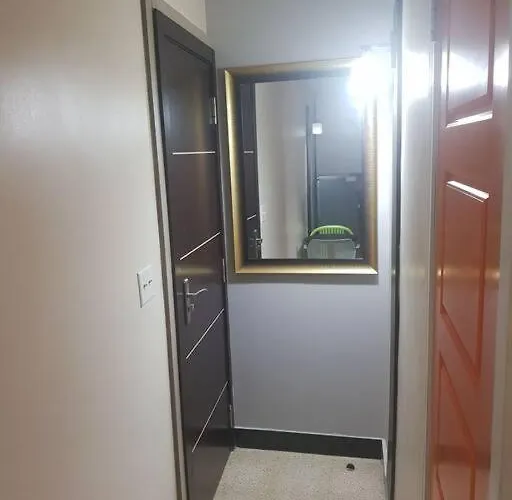 R.501 Estudio Ejecutivo, En El Centro. Panamá che accetta animali